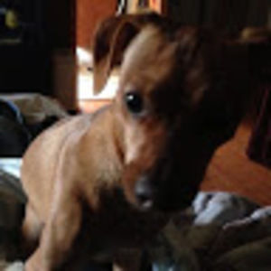 Meet your Posher, Philip